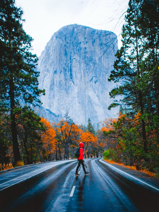 A Visit to Yosemite National Park