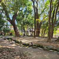 神戶生田神社〔金龍泉〕結緣之水