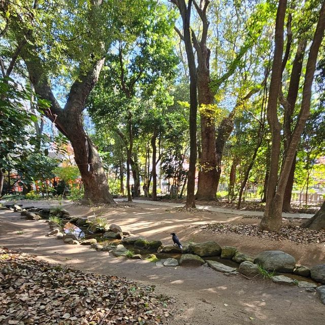 神戶生田神社〔金龍泉〕結緣之水