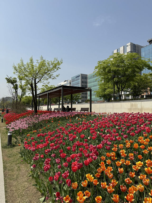 【韓国旅行】ソウル江西／ソウル市最大の広さを誇る植物園