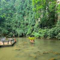 Lost World of Tambun