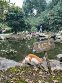 Eternal Blessings in Hangzhou