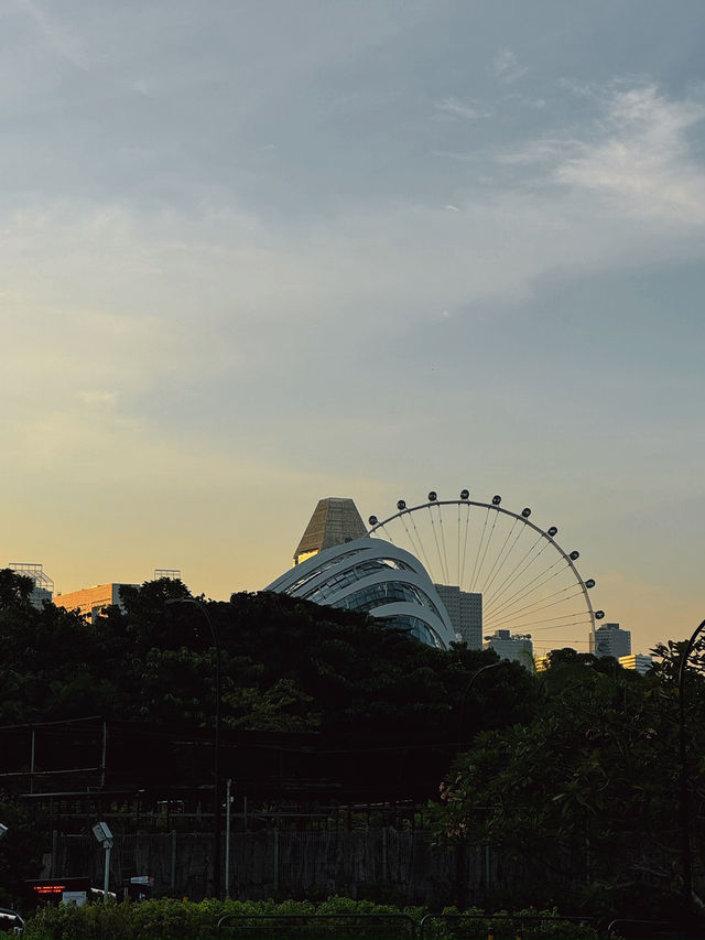 Gardens by the Bay สวนอนาคตแห่งสิงคโปร์