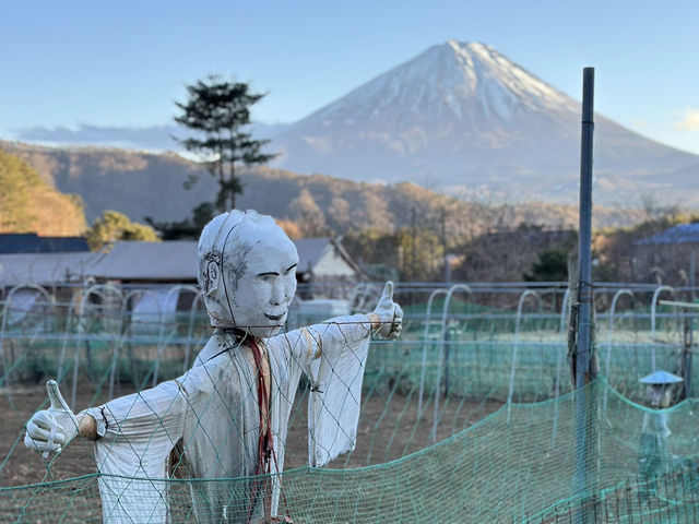 You can see Mt Fuji in December everyday till you get bored 👀