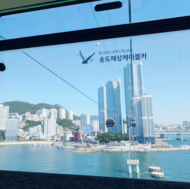 Soaring Above Busan: The Ultimate Aerial Adventure 🇰🇷