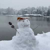 南湖公園：冬日仙境 ❄️🏞️