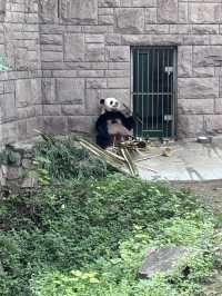 中國開放最早的動物園——北京動物園