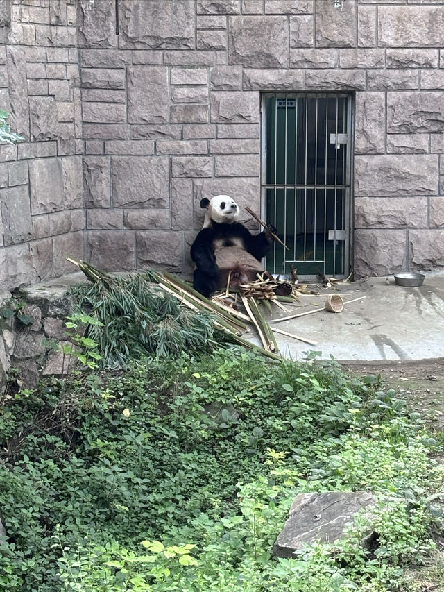 中國開放最早的動物園——北京動物園