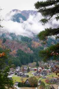 白川鄉避雷指南：周三勿往，出行必備攻略。