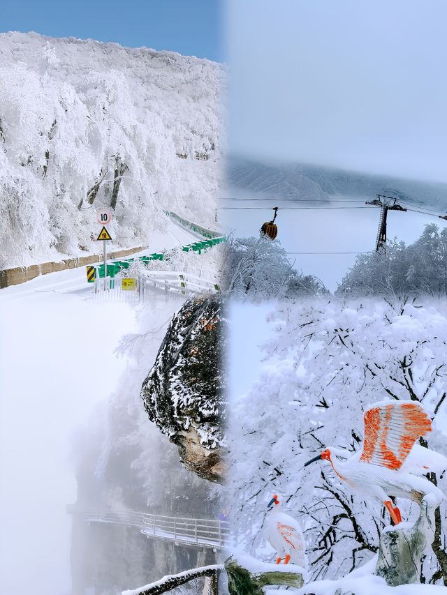 龍頭山賞雪全攻略：邂逅冬日仙境