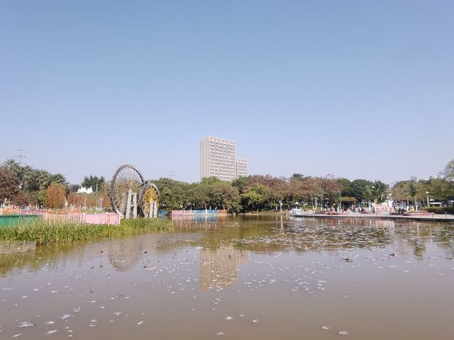 賞秋好去處，童夢樂園｜番禺區兒童公園