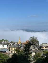 雲端之普洱景邁山