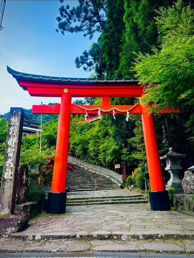 熊野那智大社⛩️美しい朱塗りの社殿は観ないと損✨数ある駐車場は何処を選ぶ⁉️駐車場マップ付き