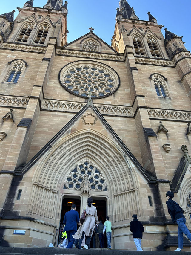 호주 시드니 “세인트 메리 대성당”🤎🇦🇺