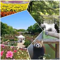 福岡市動植物園，適合約會、親子旅遊的景點