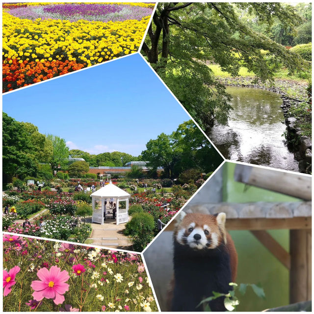 福岡市動植物園，適合約會、親子旅遊的景點