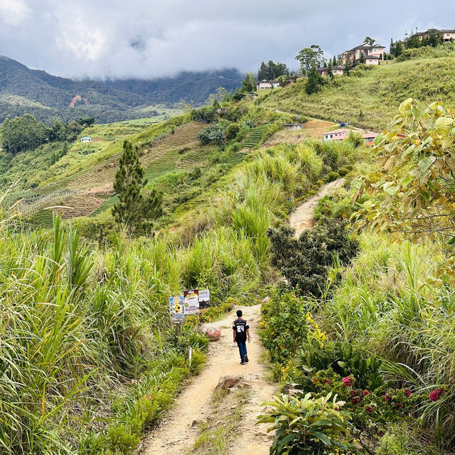 Majestic Views Await: Hiking Sosodikon Hill in Kundasang!