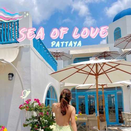 Sea Of Love, Pattaya