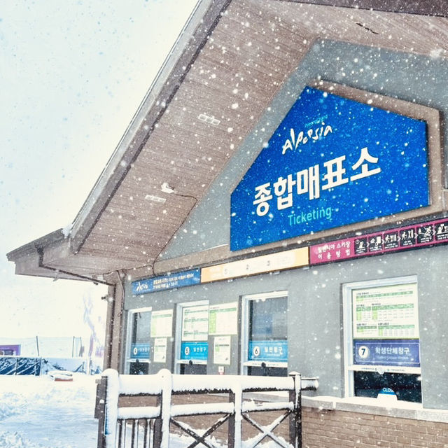 Alpensia Ski Resort: A Winter Wonderland in Pyeongchang