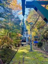 秋日高尾山，紅葉映照的心靈之旅