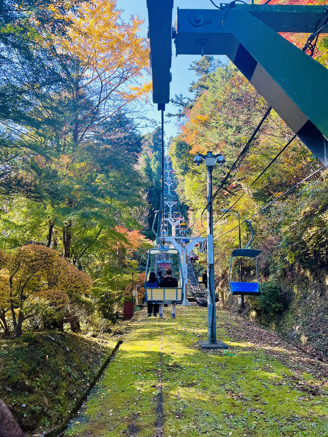 秋日高尾山，紅葉映照的心靈之旅