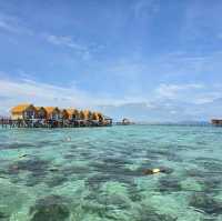 Jelly Sea Resort Recommendation