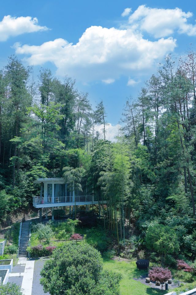 安吉竹林山景房，媽媽說太值了