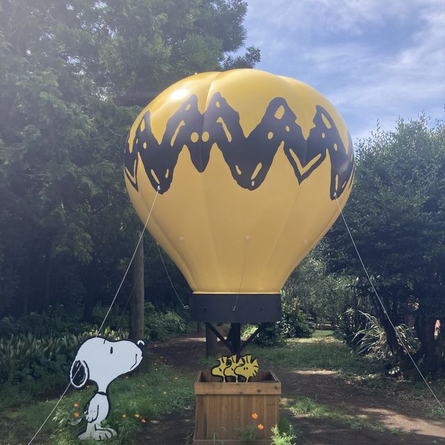 Snoopy Gardens