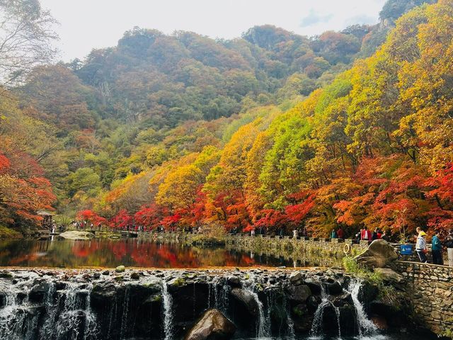 黑龍江伊春五花山｜伊春之秋，收穫和欣賞的季節。