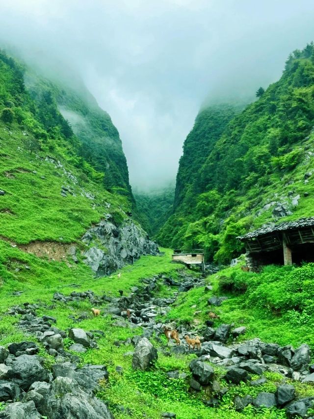 被遺忘的行山天堂——豐都夾壁山。