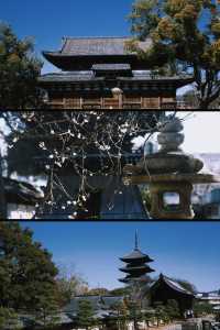 京都西本願寺｜淨土真宗本願寺派總本山。