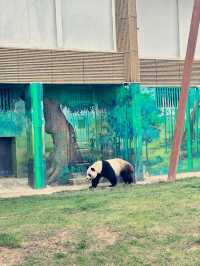 蘭州野生動物園 | 去了| 人給累趴了！。