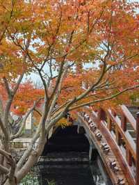 東方禪意生活樂土，世界心靈度假花園—拈花灣…