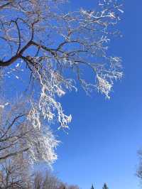 在北京！！2,000平的雪場！！帶小朋友玩雪自由啦