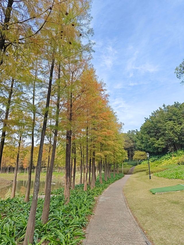 深圳紅花嶺公園