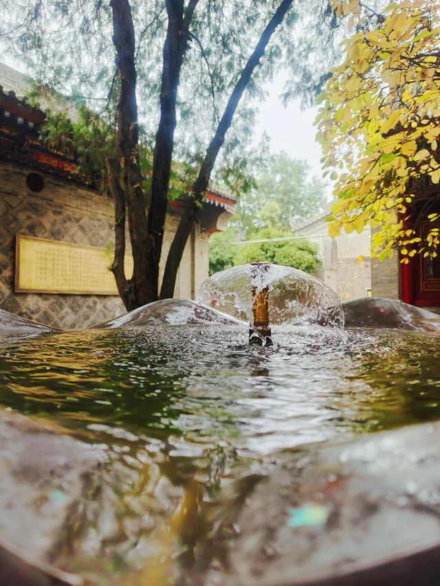 西安臥龍禪寺|隱於鬧市中的聖境