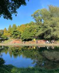 深圳中心公園，都市裡的綠野仙蹤