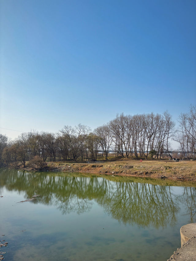 中苕溪荒野營地：逃離喧囂，擁抱野性自然