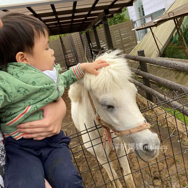 伊豆仙人掌動物園🌵