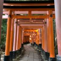 Journey Through A Thousand Torii at Fushimi Inari Shrine