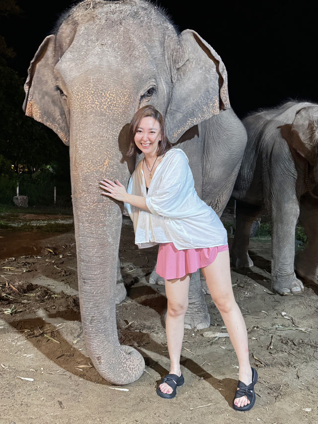 Solo Adventure in Phuket: Elephants and Local Treasures