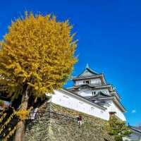 wakayama castle