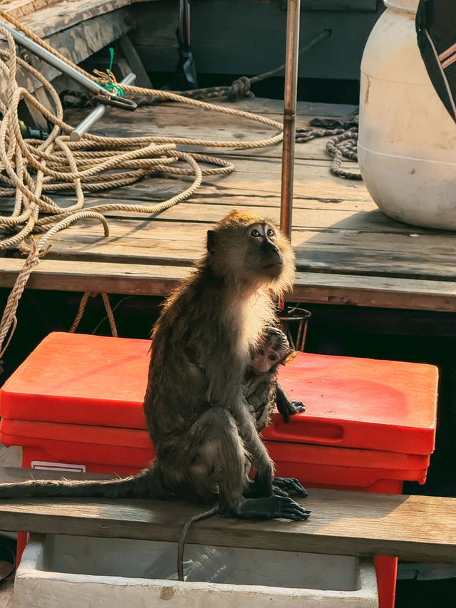 冒険心がくすぐられる⛰️🚣‍♀️ カオ カナプ ナーム🇹🇭