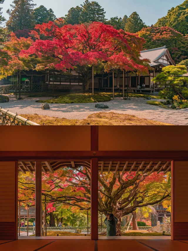 景點推薦：雷山千如寺——福岡紅葉名所與古老禪境