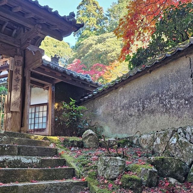 紅楓季書寫山處處美景〔圓教寺事務所〕