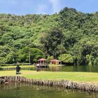 A Serene Escape at Gunung Lang Recreational Park