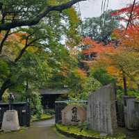 大阪的自然步道天堂〔箕面公園〕