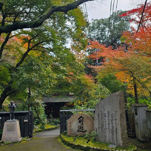 大阪的自然步道天堂〔箕面公園〕