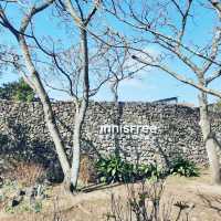 A Natural Retreat at Innisfree Jeju House 🇰🇷