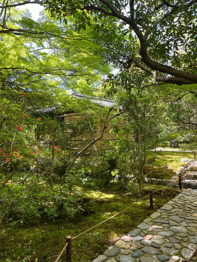 Kyoto｜ Saihōji (Kokedera) Temple, the hidden place of Kyoto